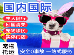 厦门高崎空运国际宠物托运 【国